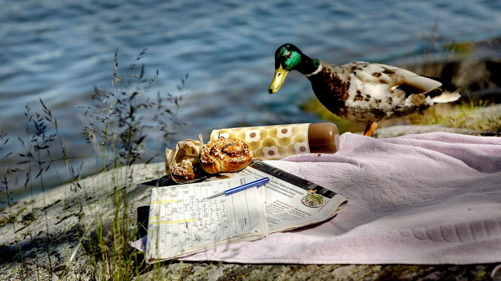 D rf r r Korsord Och Sudoku Bra F r Hj rnan DN SE D rf r r Korsord Och Sudoku Bra F r Hj rnan DN SE